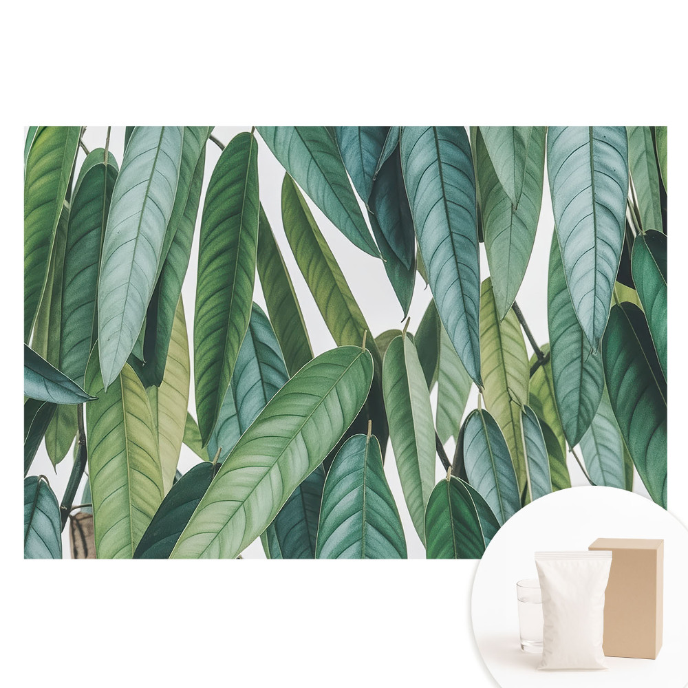 Papier peint photo grand format motif feuilles vertes, minimalisme et nature