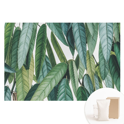Papier peint photo grand format motif feuilles vertes, minimalisme et nature