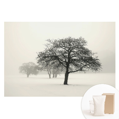 Papier peint photo sur intissé Arbres dans le brouillard paysage hivernal