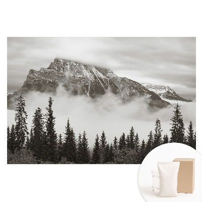 Papier peint photo sur tissu non tissé Paysage montagneux entouré de brouillard