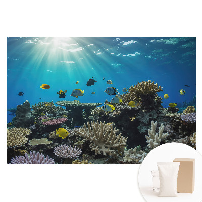 Papier peint intissé panoramique Coraux et poissons tropicaux