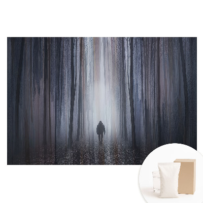 Papier peint panoramique sur intissé Silhouette solitaire dans une forêt mystérieuse