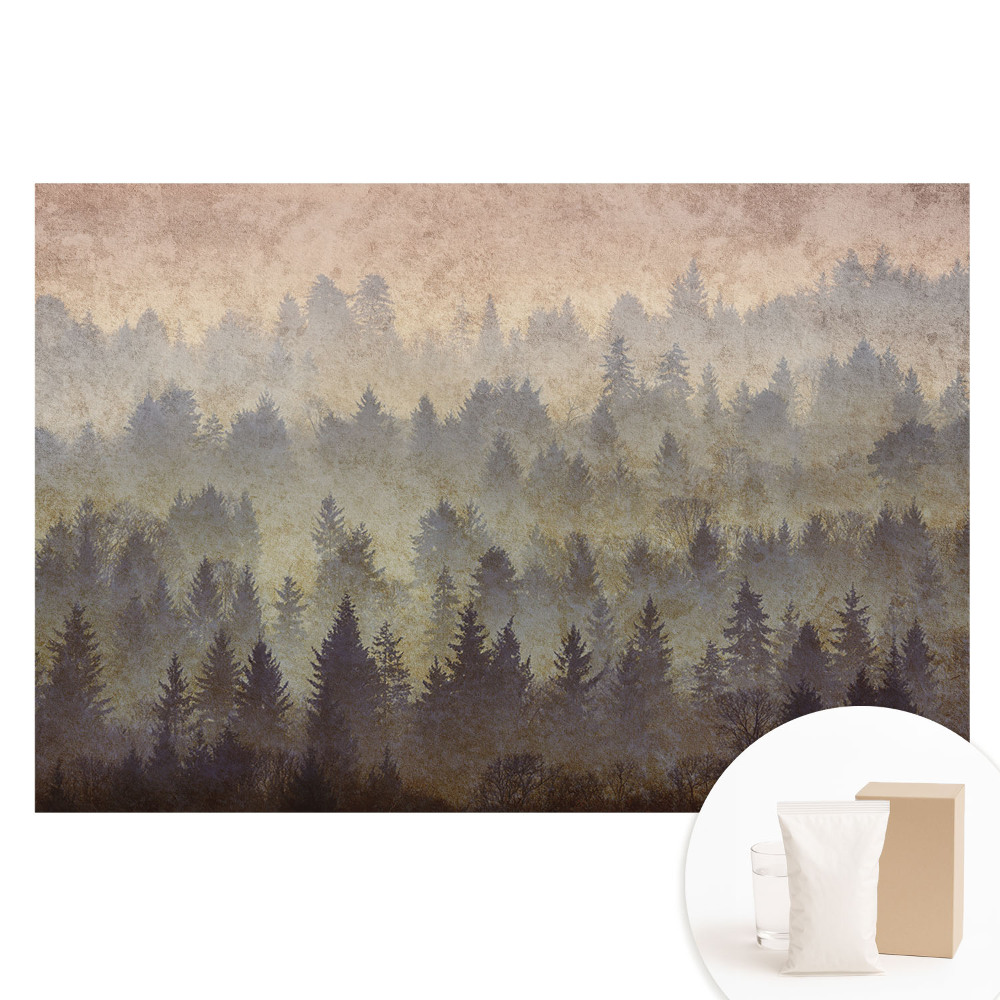 Papier peint photo sur tissu non tissé Forêts atmosphériques enveloppées de brouillard