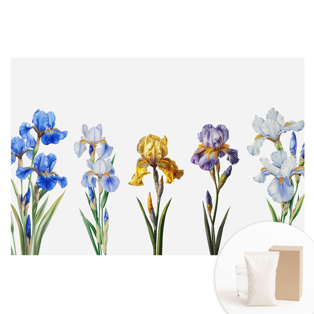 Papier peint photo sur tissu non tissé Fleurs d'iris colorées sur fond blanc