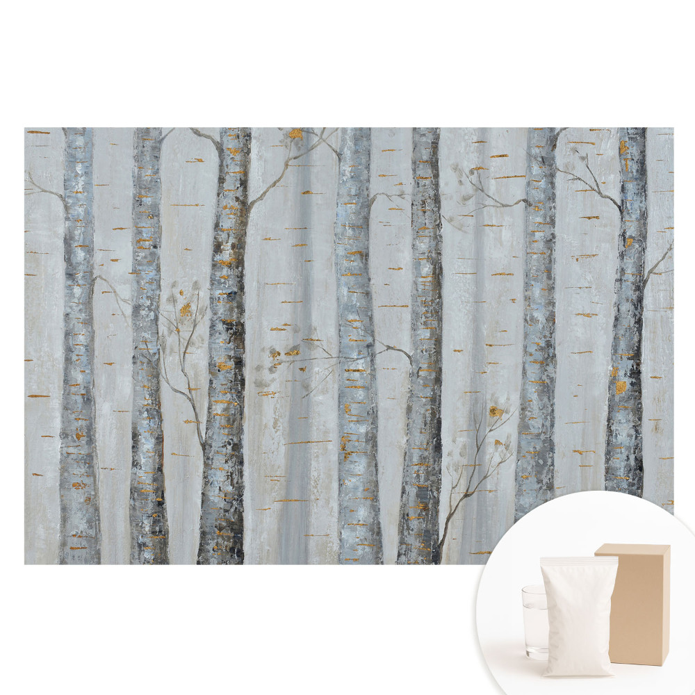 Papier peint photographique sur tissu non tissé Forêt de bouleaux dans une composition classique