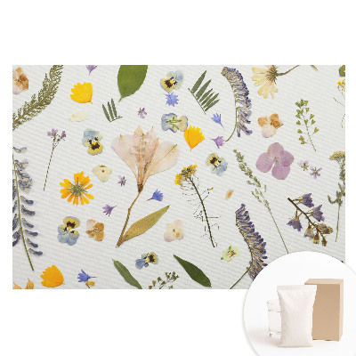 Papier peint photographique intissé Fleurs séchées sur toile blanche