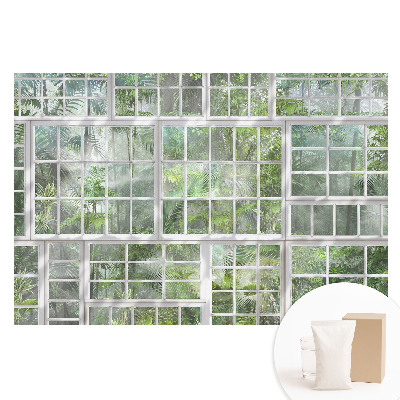 Papier peint photo intissé Jungle verte derrière fenêtres blanches