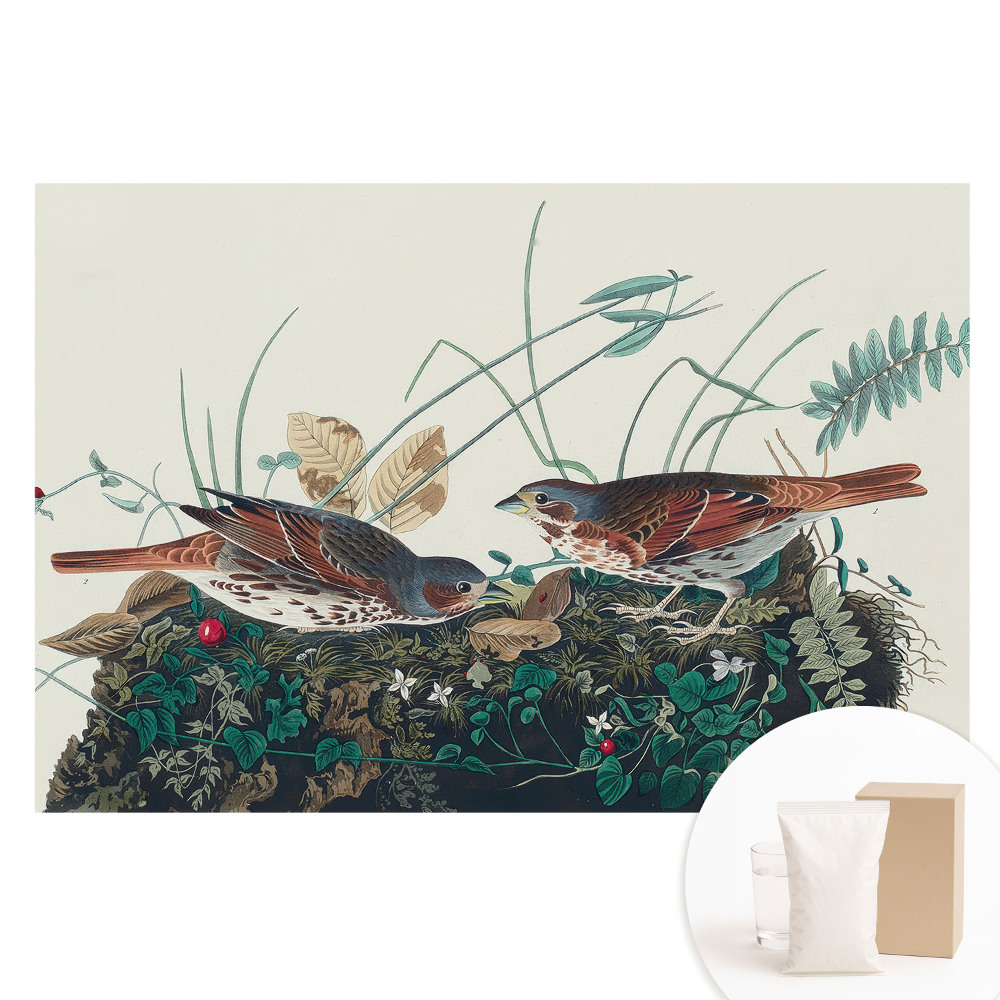 Papier peint photographique sur tissu non tissé Des oiseaux parmi la verdure