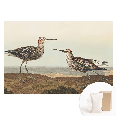 Papier peint panoramique intissé Deux oiseaux sur le rivage