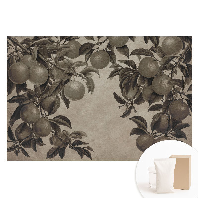 Papier peint photographique intissé Feuilles de fruits monochromes rétro vintage