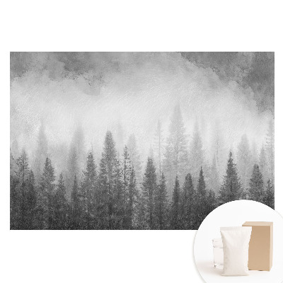 Papier peint photo grand format Forêt mystérieuse dans le brouillard