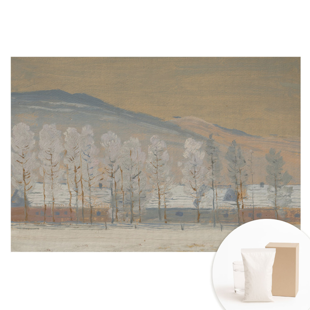 Papier peint intissé paysage de montagne hivernal avec chalets pittoresques