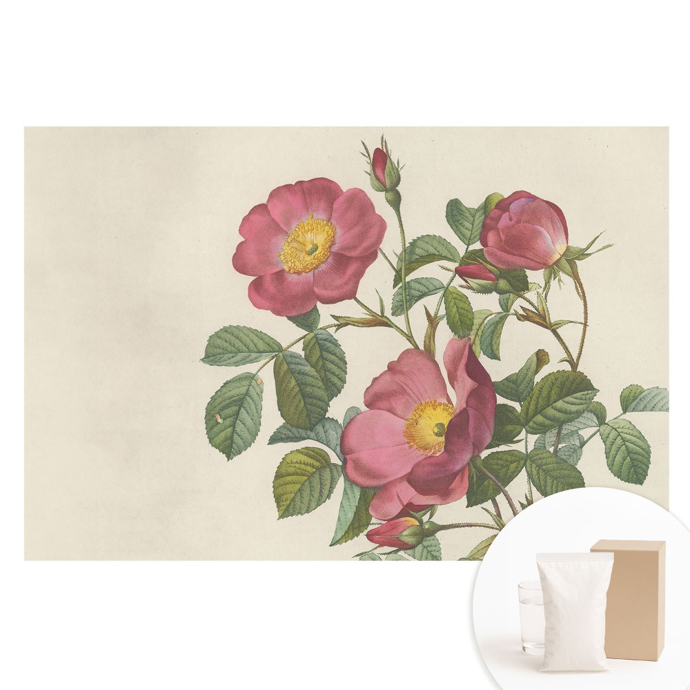 Papier peint photo grand format Des roses sauvages en composition classique