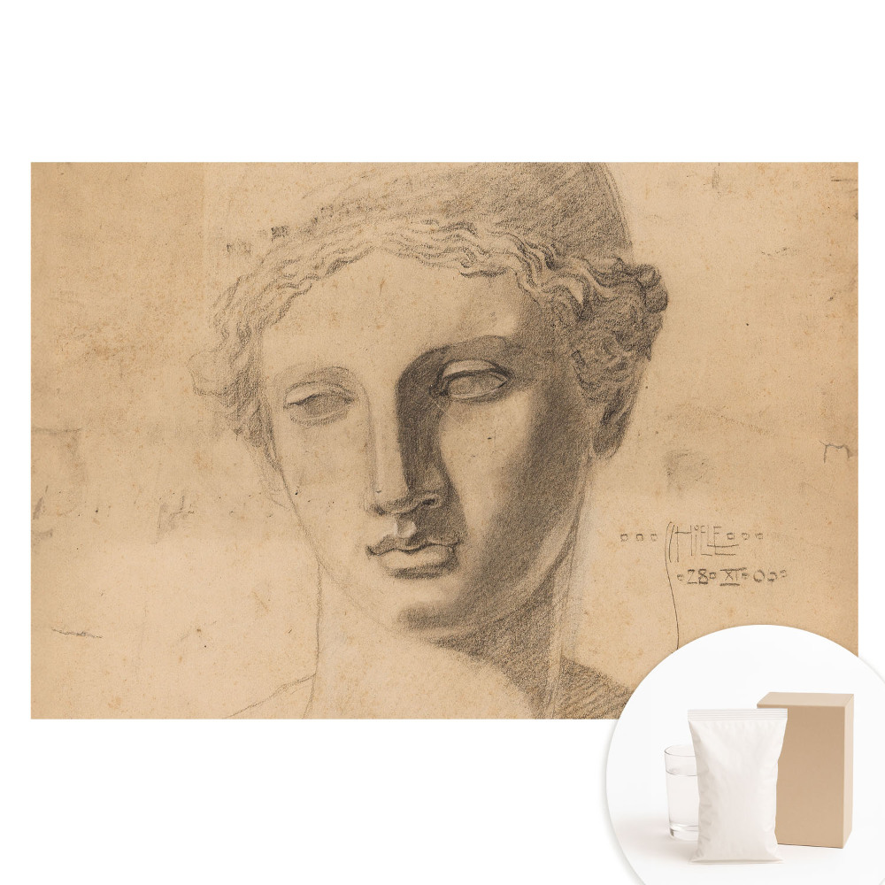 Papier peint intissé Graphique classique de visage féminin