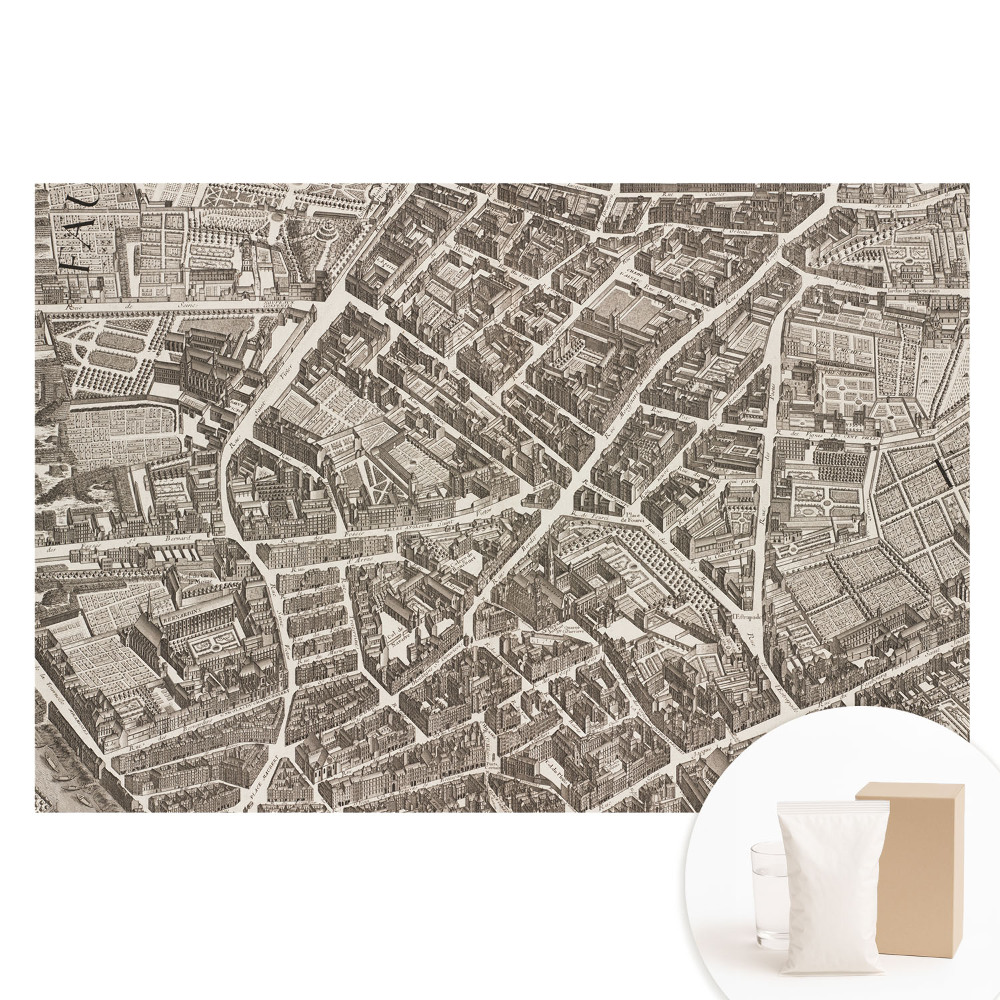 Papier peint intissé motif carte de ville classique