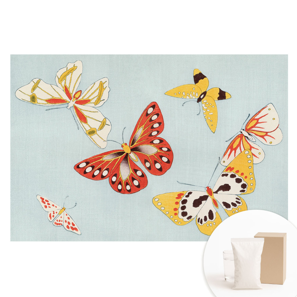 Papier peint photo sur tissu non tissé Papillons colorés sur fond clair
