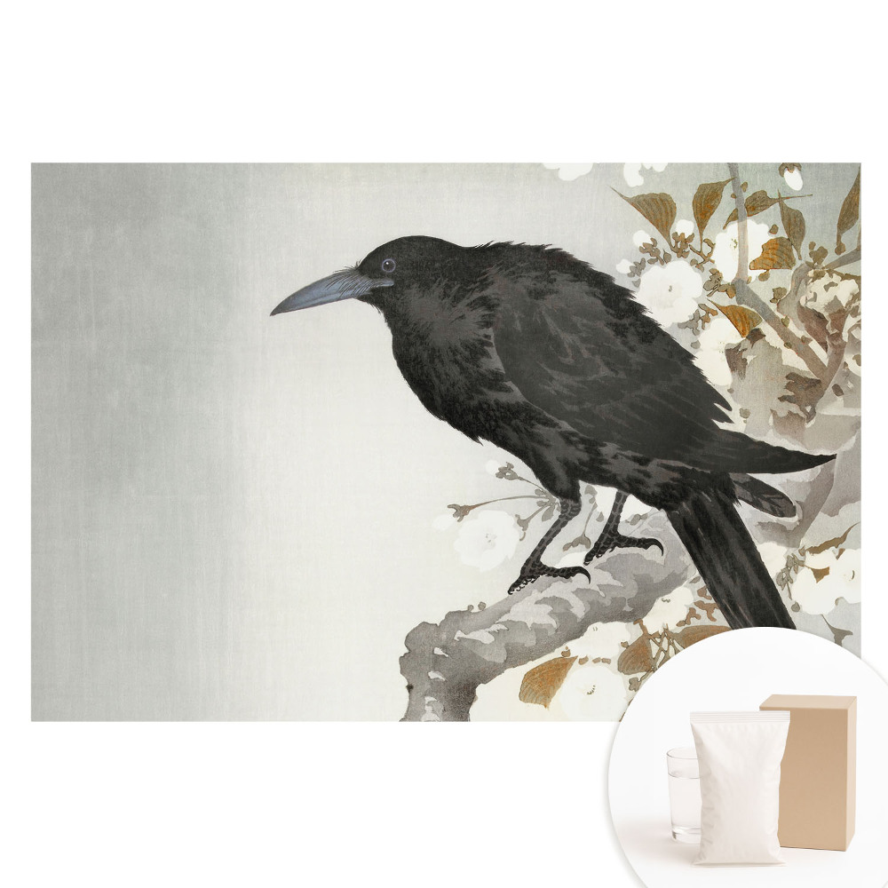 Papier peint intissé imprimé Un corbeau discret se détachant sur le fond de branches fleuries