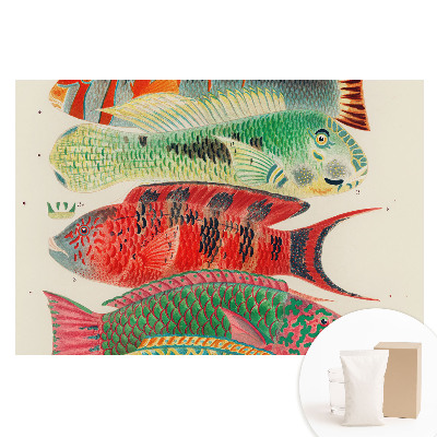 Papier peint panoramique intissé avec illustration de poissons colorés style classique