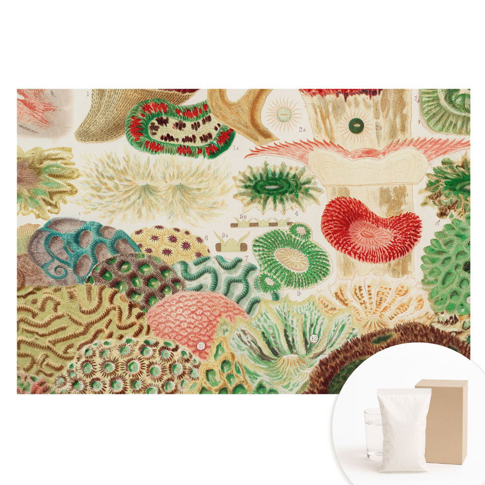 Papier peint photographique intissé motifs et structures organiques abstraits