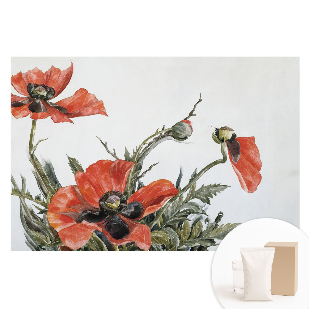 Papier peint photo imprimé sur tissu non tissé Délicats coquelicots sur fond clair