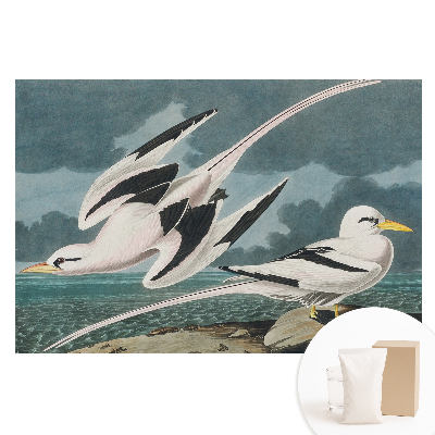 Papier peint intissé panoramique tableau classique oiseaux au bord de mer