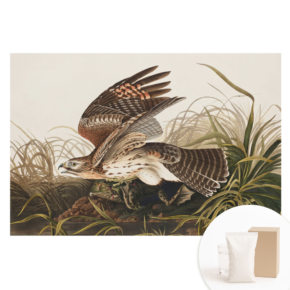 Papier peint photo sur intissé Un oiseau en vol dans l'herbe