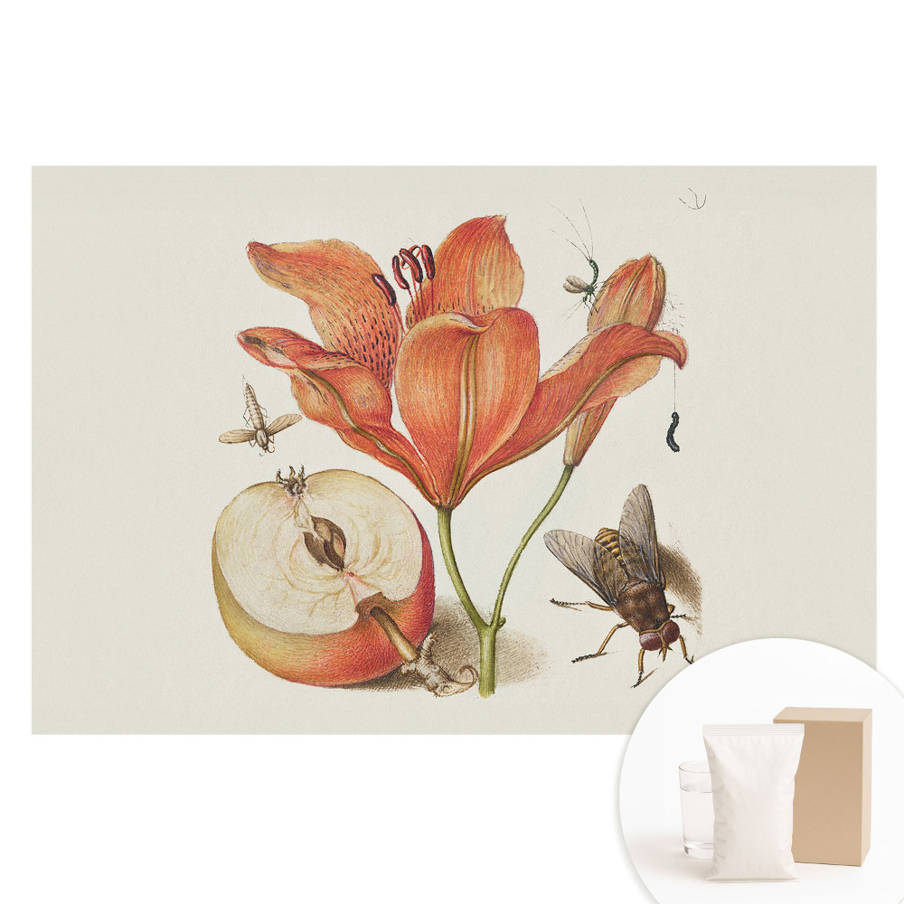 Papier peint intissé Fleurs, insectes, fruits, harmonie de la nature