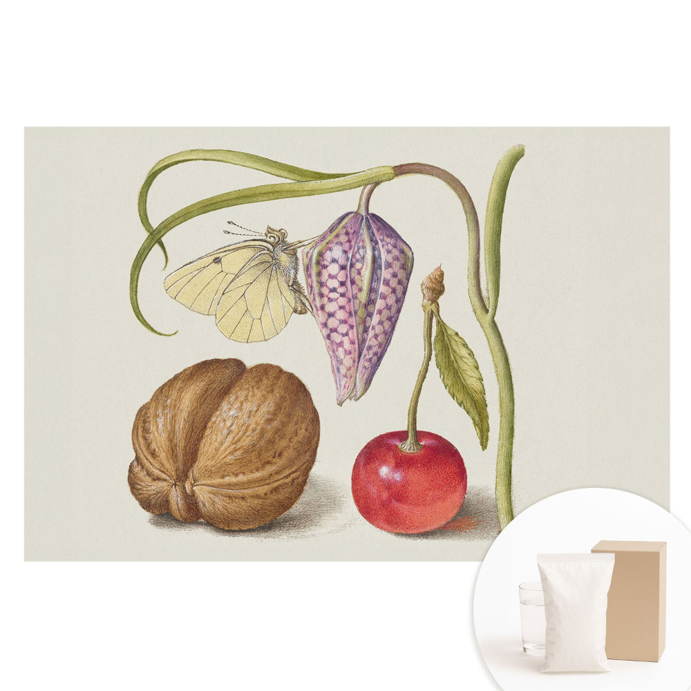 Papier peint photo grand format pour le mur Papillon sur une fleur, une feuille et un fruit
