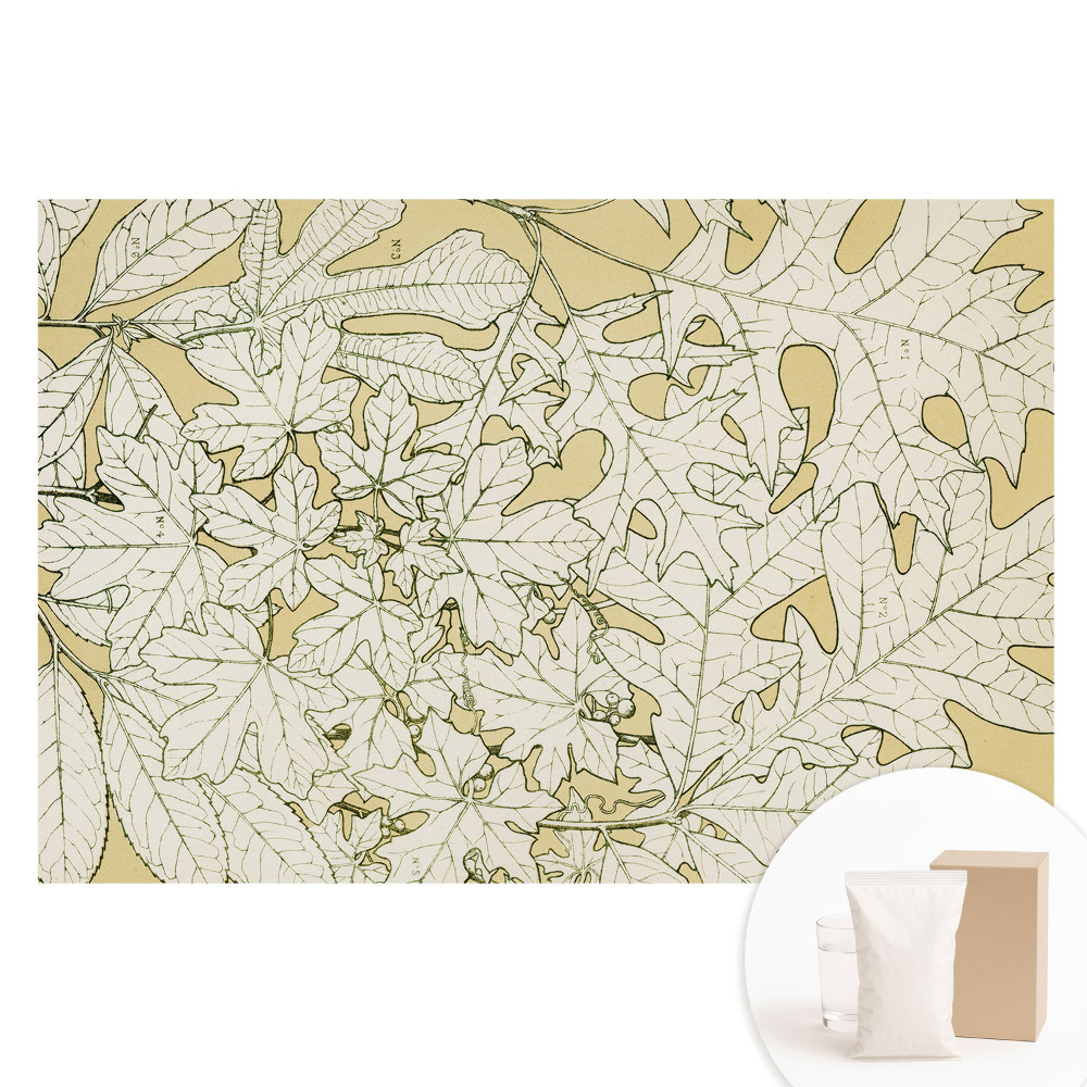 Papier peint photo imprimé sur tissu non tissé Dessin botanique de feuilles d'arbre