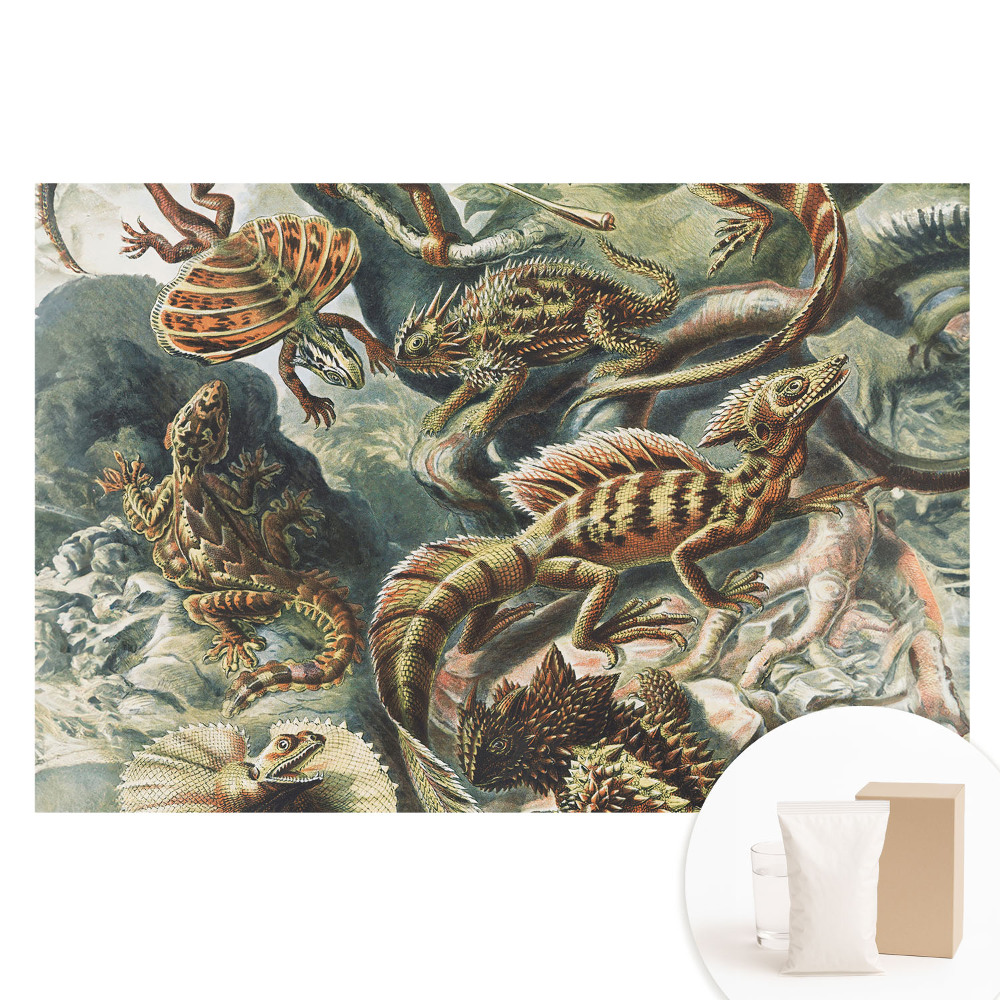 Papier peint panoramique intissé Lézards fabuleux à motifs naturels