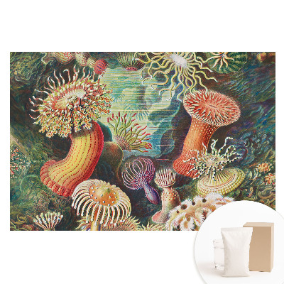 Papier peint panoramique sur intissé motifs sous-marins aux couleurs vives