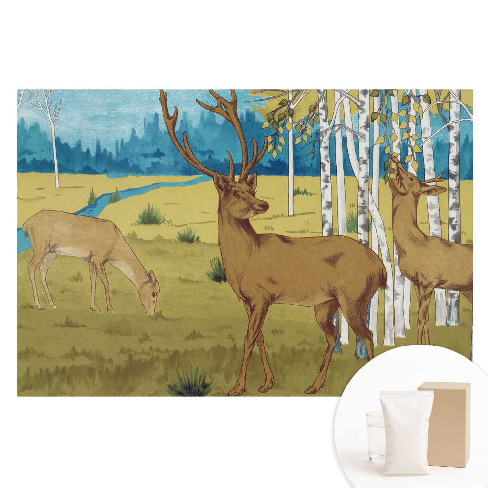 Papier peint photo sur intissé Cerfs dans la forêt de bouleaux