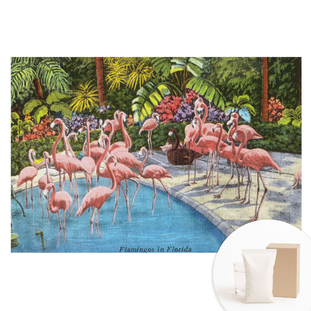 Papier peint photo intissé motif flamants roses au bord de la piscine