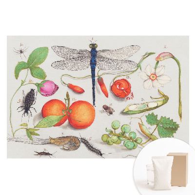 Papier peint intissé imprimé Collage botanique avec des insectes