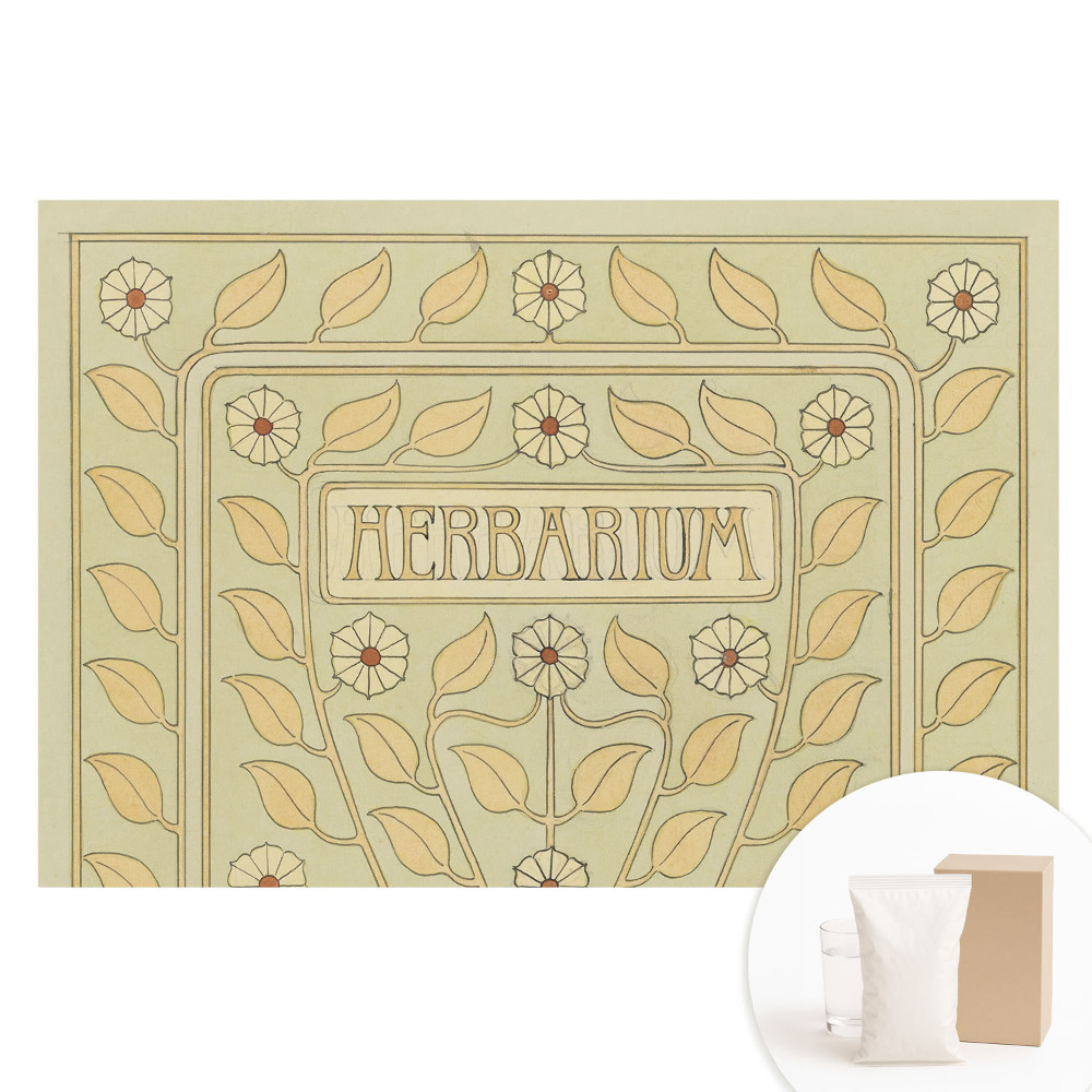 Papier peint photo grand format pour le mur Motifs végétaux Art nouveau avec l'inscription Herbarium
