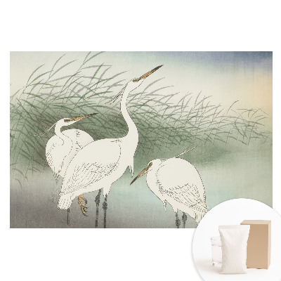 Papier peint photo sur tissu non tissé Oiseaux délicats parmi l'herbe