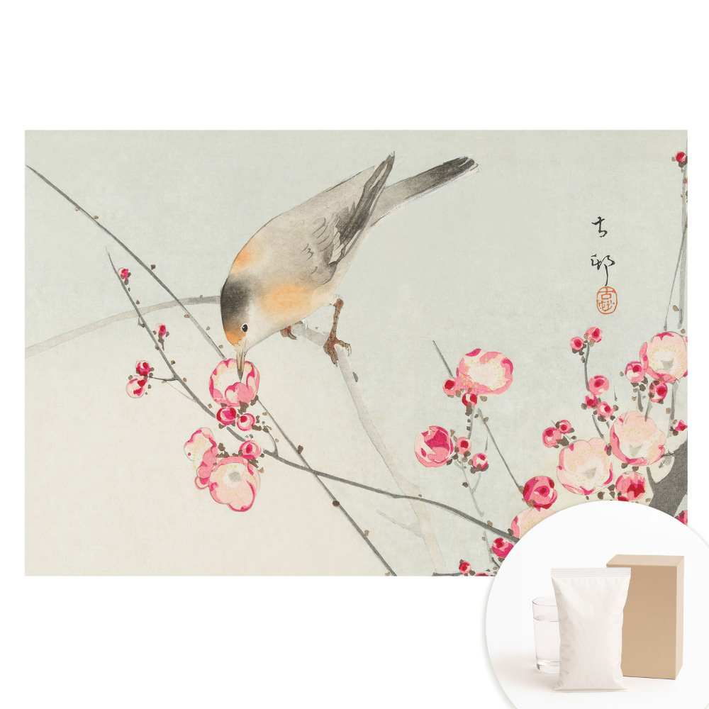 Papier peint intissé photographique avec motif d'oiseaux et fleurs japonaises