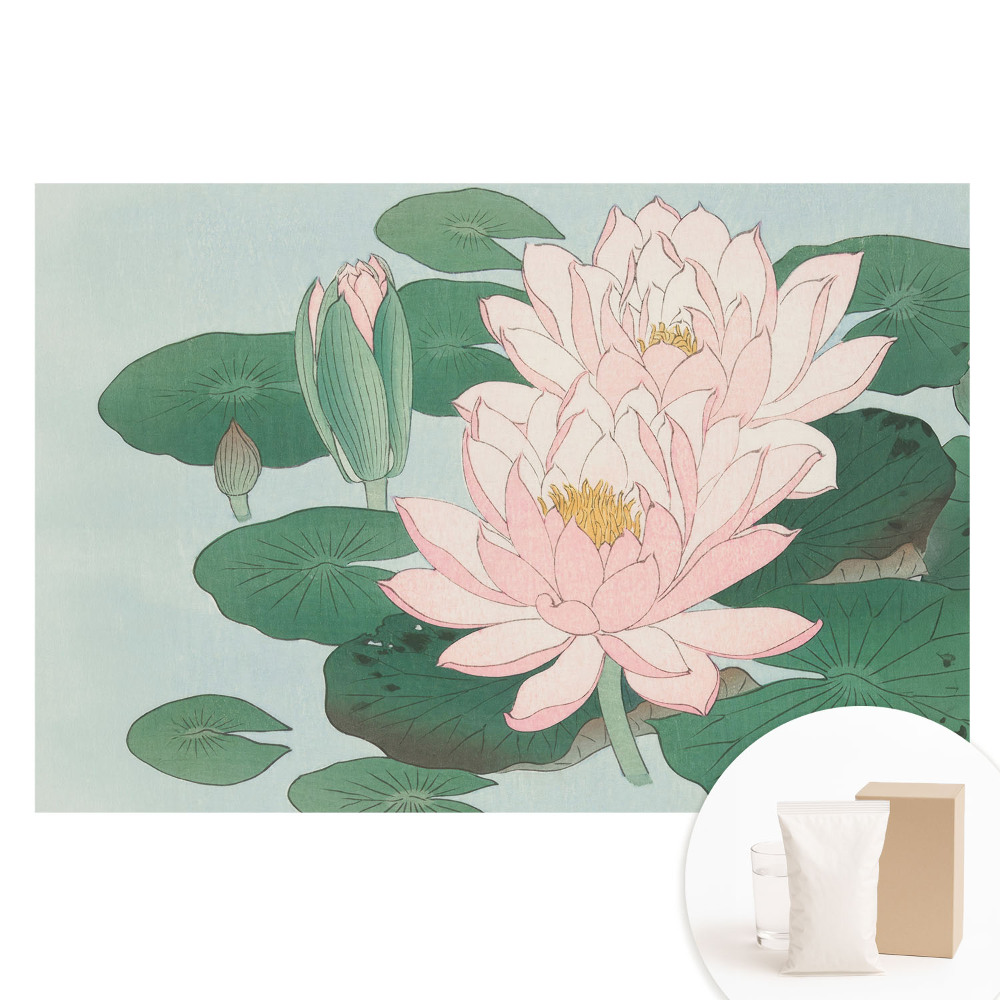 Papier peint photo imprimé sur tissu non tissé Fleurs de lotus sur feuilles vertes