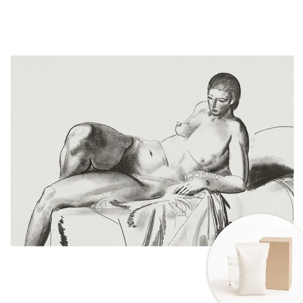 Papier peint photo grand format classique pour mur nu
