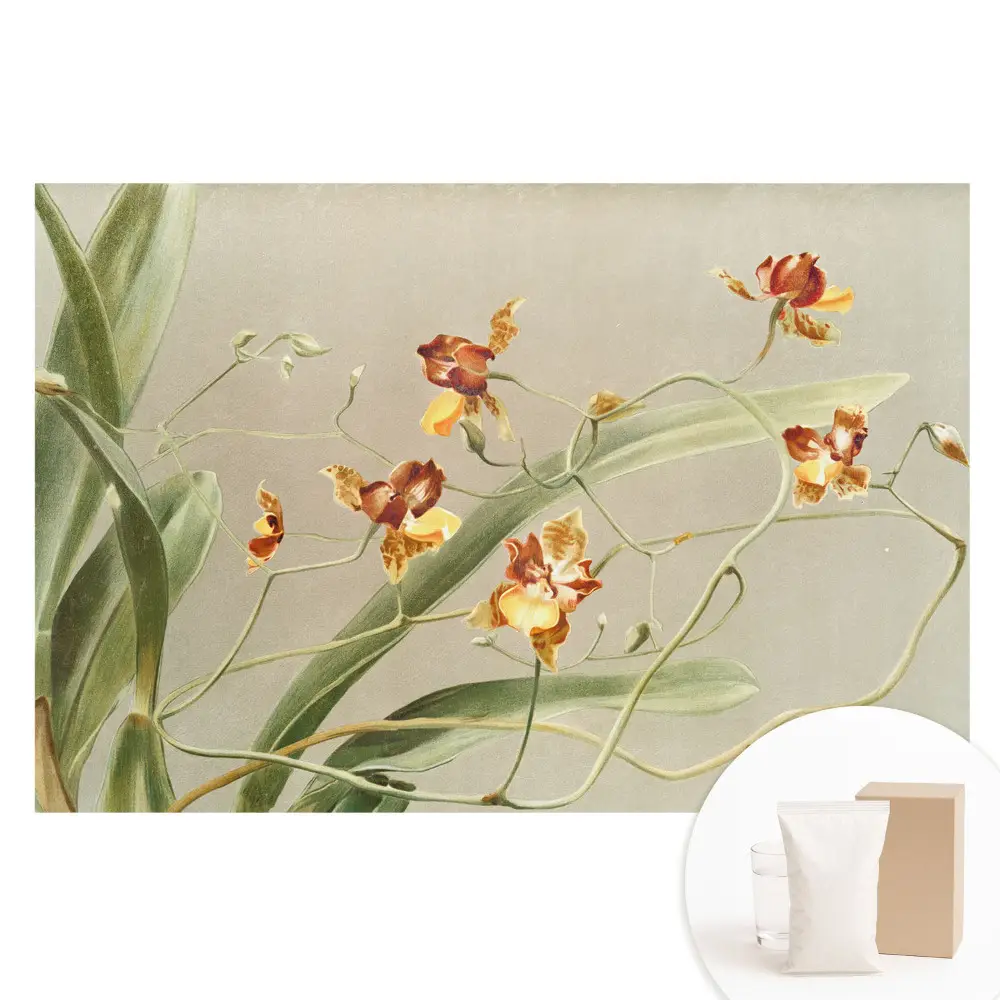 Papier peint panoramique intissé orchidées sur fond gris