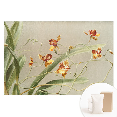 Papier peint panoramique intissé orchidées sur fond gris