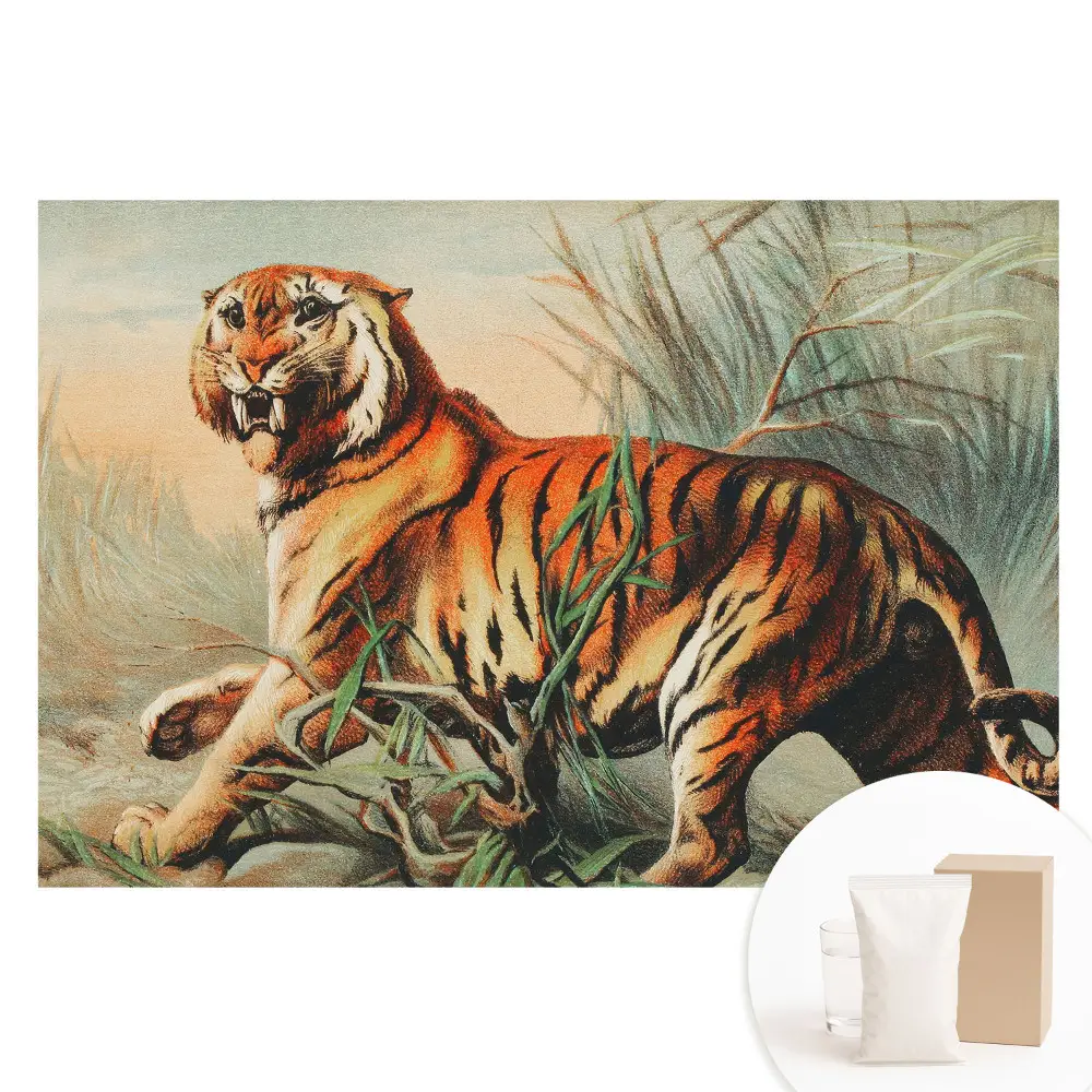Papier peint intissé Un tigre majestueux dans un cadre sauvage
