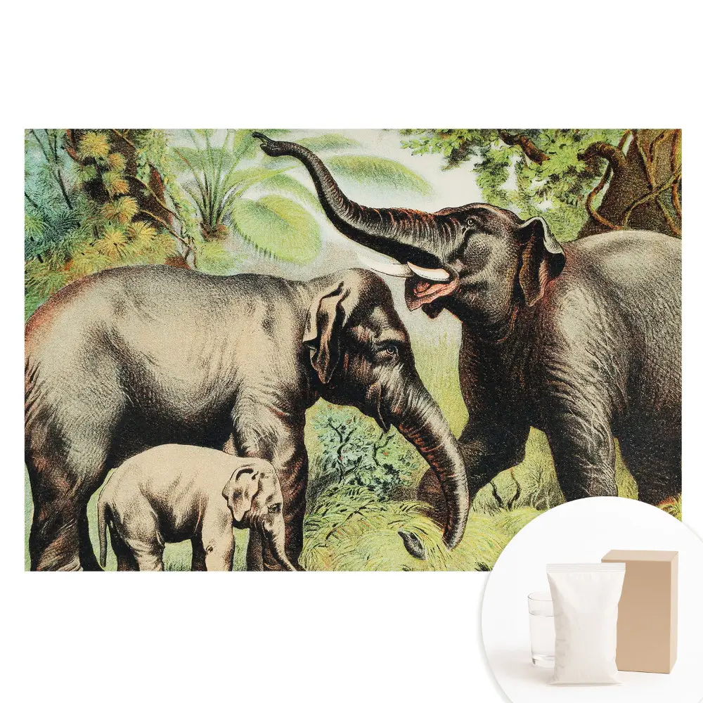 Papier peint panoramique intissé Famille d'éléphants dans la jungle