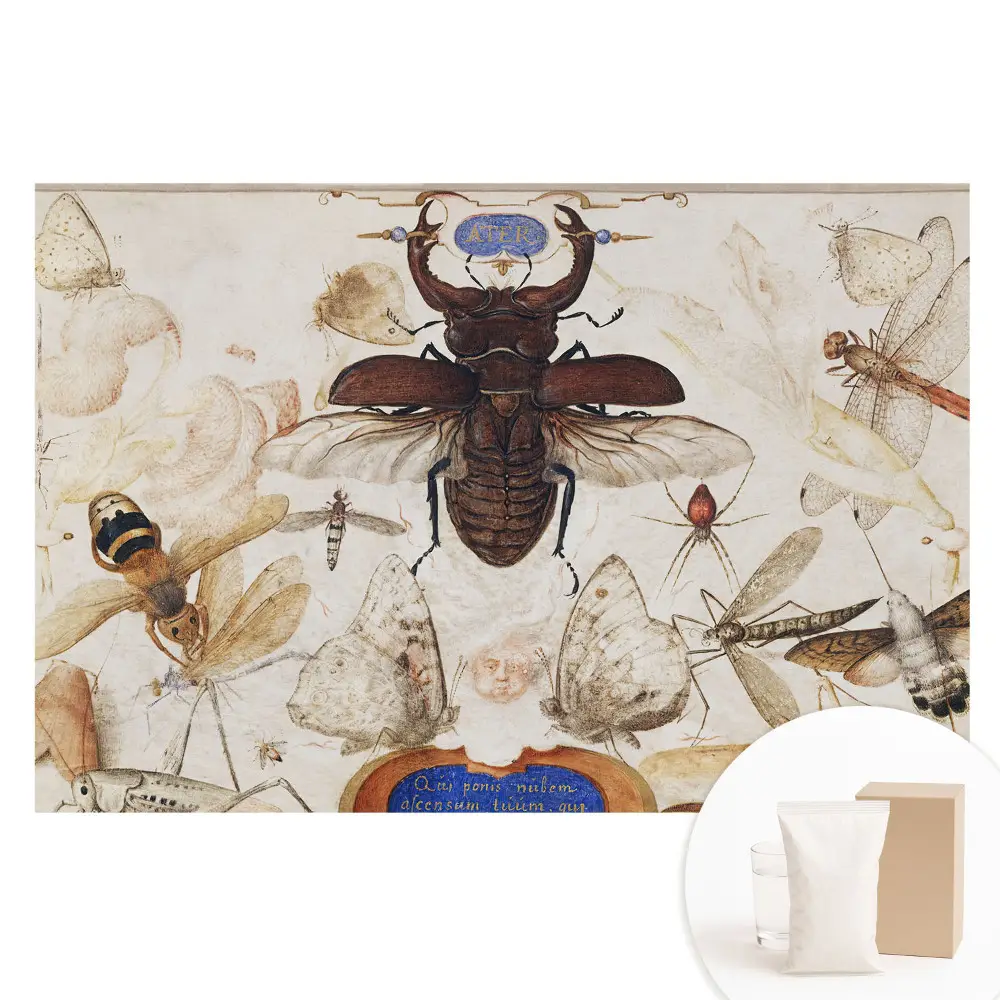 Papier peint panoramique intissé motif symétrique insectes papillons et araignées
