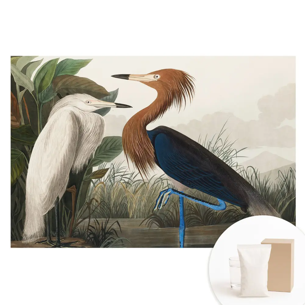 Papier peint intissé Oiseaux élégants dans la végétation