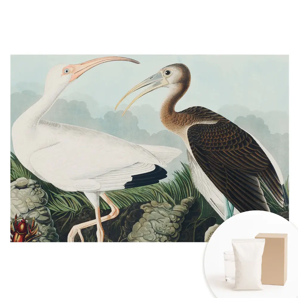Papier peint intissé Deux oiseaux dans leur environnement naturel