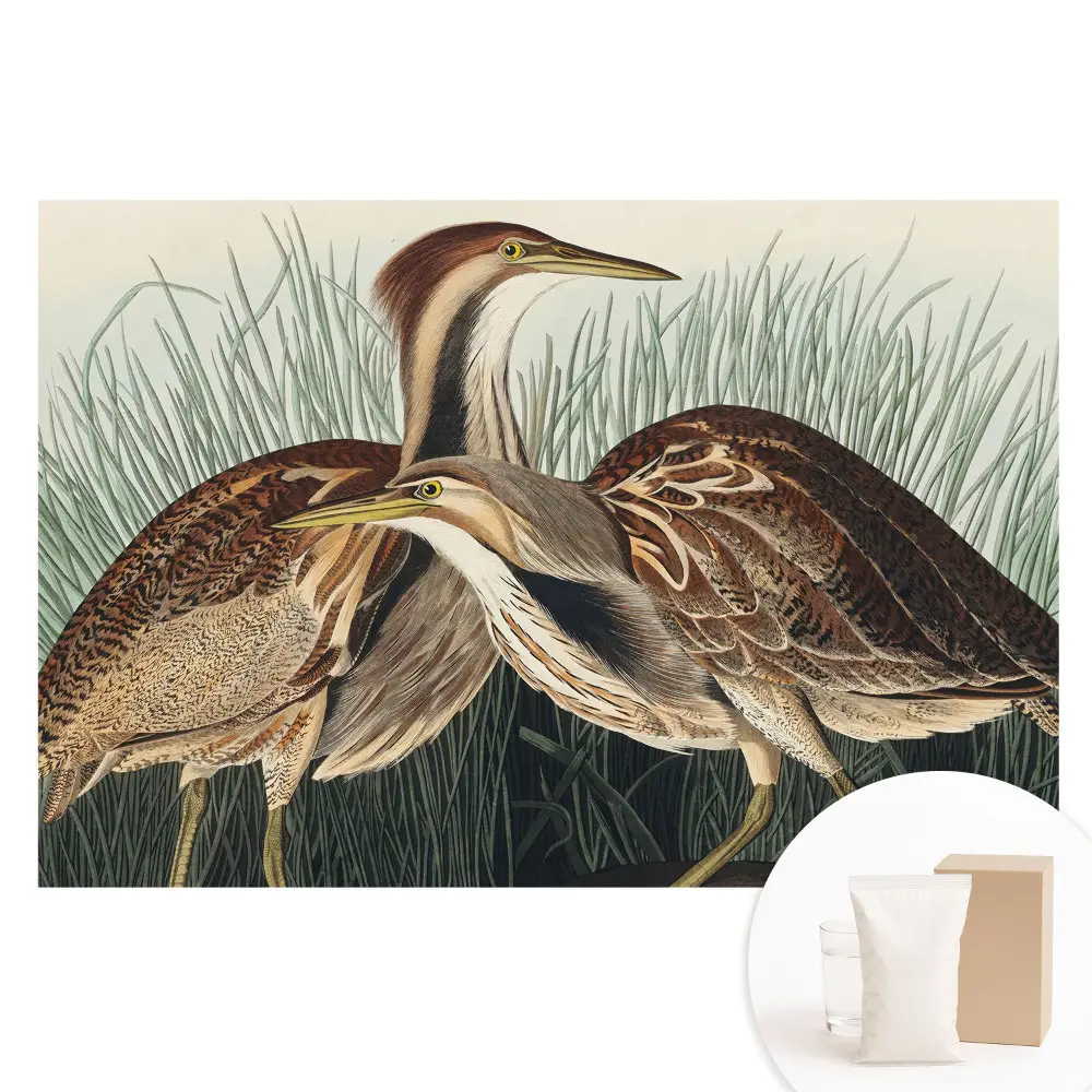 Papier peint photo grand format Oiseaux dans l'herbe style réalisme classique symétrique