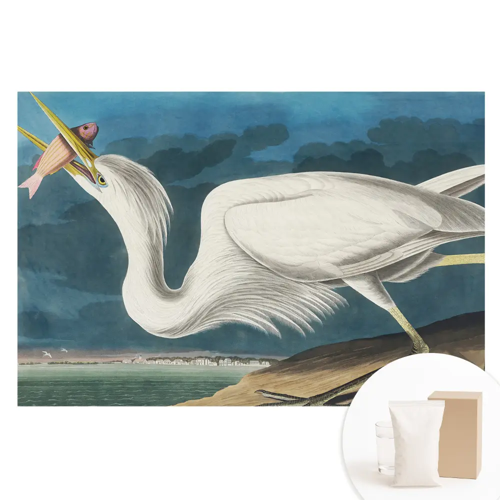 Papier peint panoramique L'élégance et la nature des oiseaux
