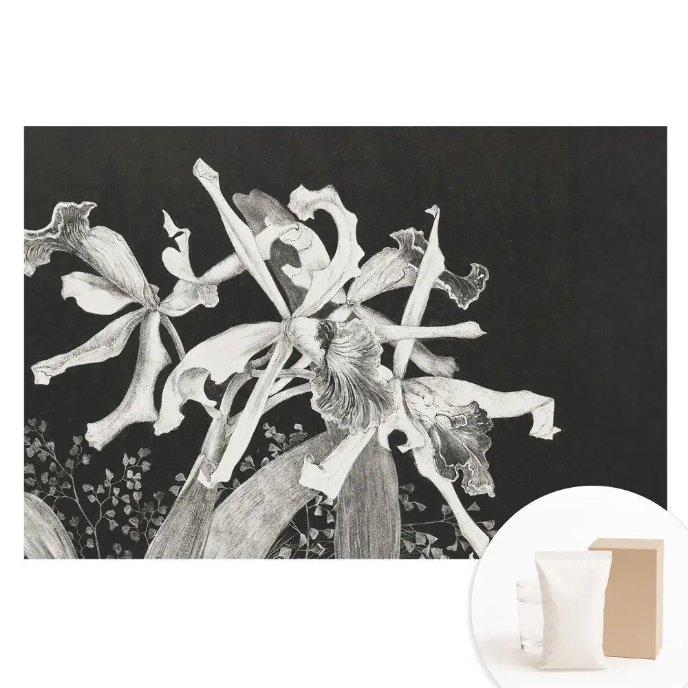 Papier peint panoramique intissé avec fleurs élégantes sur fond sombre
