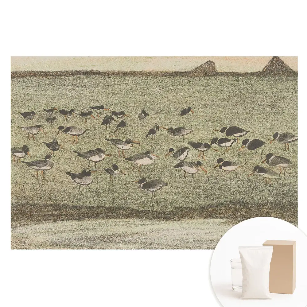 Papier peint photo grand format Oiseaux dans la prairie
